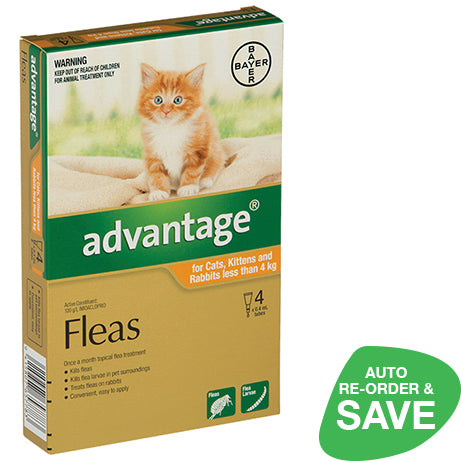 Advantage for Small Cats and Kittens Less than 4kg