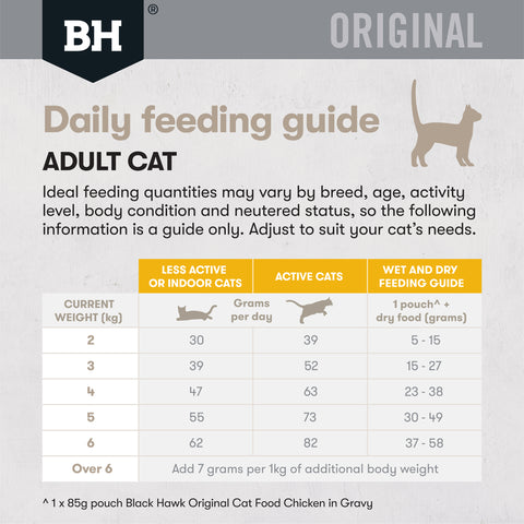 Black Hawk Adult Cat Chicken