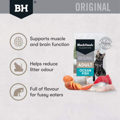 Black Hawk Adult Cat Ocean Fish