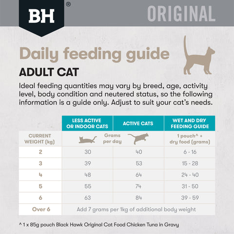Black Hawk Adult Cat Ocean Fish