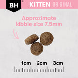 Black Hawk Kitten Chicken