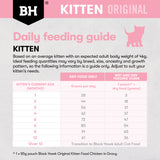 Black Hawk Kitten Chicken