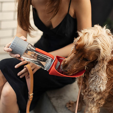 EzyDog 3in1 Leaf Bottle Pro