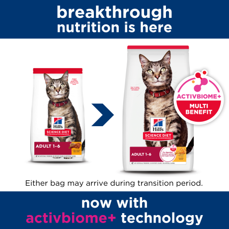 Hill's Science Diet Adult Chicken Recipe Dry Feline Food