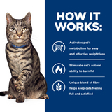 Hill's Prescription Diet Metabolic Weight Loss & Maintenance Dry Cat Food