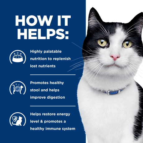Hill's Prescription Diet i/d Digestive Care Canned Cat Food 156g