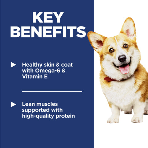 Hill's Science Diet Canine Adult Small Bites