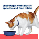 Hill's Prescription Diet ONC Care Cat Chicken & Vegetable Stew 82gm
