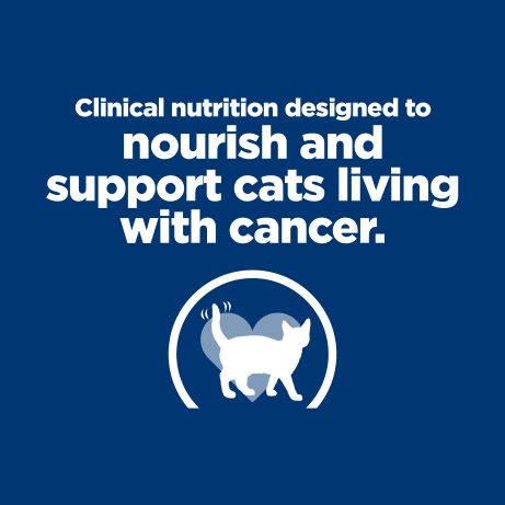 Hill's Prescription Diet ONC Care Cat Chicken & Vegetable Stew 82gm
