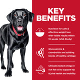 Hill's Science Diet Adult Perfect Weight Large Breed + Joint Support Dry Dog Food 11.3kg
