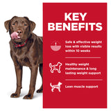 Hill's Science Diet Adult Perfect Weight Dry Dog Food Large Breed 11.3kg