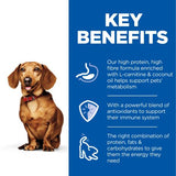 Hill's Science Diet Adult Small & Mini Perfect Weight Dog Food with Turkey 200g can
