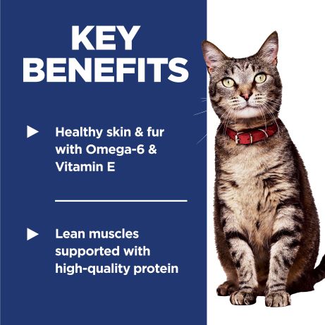 Hill's Science Diet Adult Chicken Recipe Dry Feline Food
