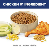Hill's Science Diet Adult Chicken Recipe Dry Feline Food