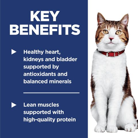 Hill's Science Diet Feline Adult 7+ Senior Dry Food