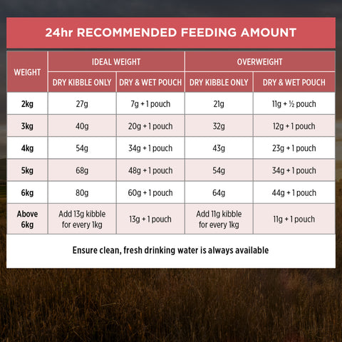 Pro Plan Cat Fussy & Beauty Salmon Dry Food 1.5kg
