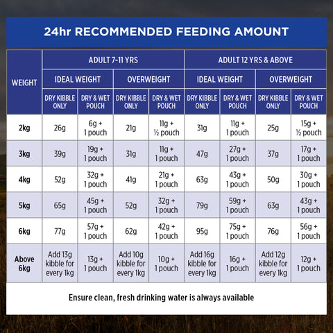 Pro Plan Cat Adult 7+ Salmon and Tuna Dry Food