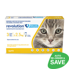 Revolution Plus For Small Cats - 3 Pack