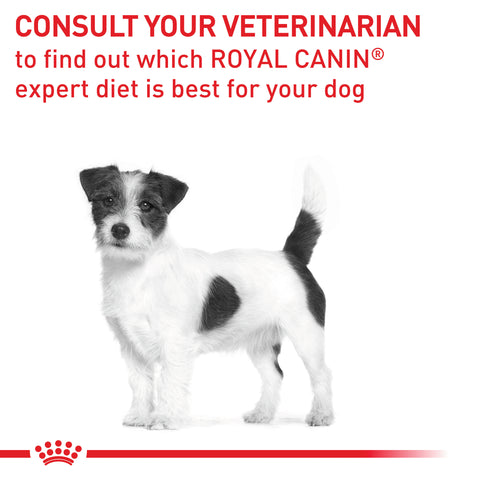 Royal Canin Calm Small Dog 4kg