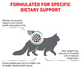 Royal Canin Feline Satiety Weight Management