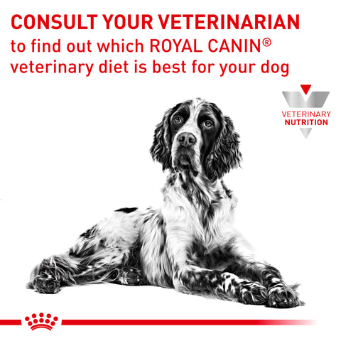 Royal Canin Dog Gastrointestinal High Fibre Dry