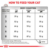 Royal Canin Gastrointestinal Feline Fibre Response 2kg