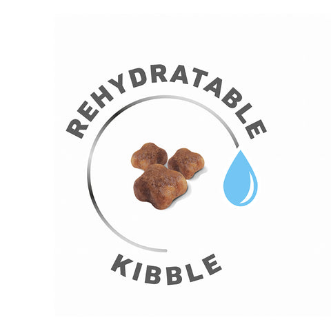 Royal Canin Maxi Breed Starter Mother & Baby Dog 15kg