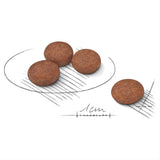 Royal Canin Mini Digestive Care