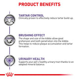 Royal Canin Dental Small Dog