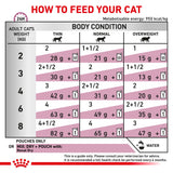 Royal Canin Cat Renal Sachets with Fish (in Gravy) 85gm x 12 Sachets
