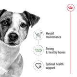 Royal Canin Mini Adult (in Gravy) 85g x 12 Sachets