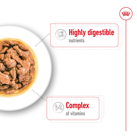 Royal Canin Mini Adult (in Gravy) 85g x 12 Sachets