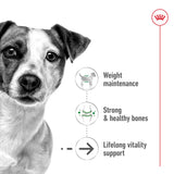 Royal Canin Mini Ageing 12+ (in Gravy) 85g x 12 Sachets