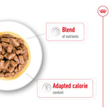 Royal Canin Mini Ageing 12+ (in Gravy) 85g x 12 Sachets