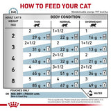 Royal Canin Feline Skin & Coat (in Gravy) 85g x 12 Sachets