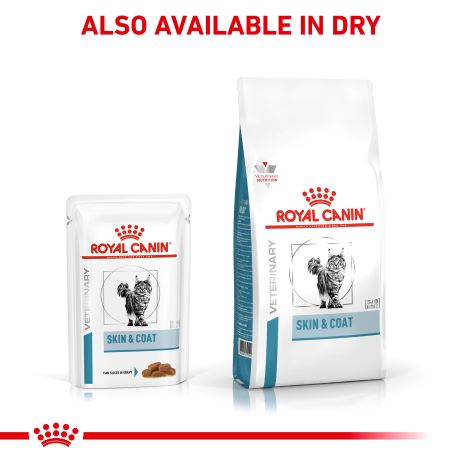 Royal Canin Feline Skin & Coat (in Gravy) 85g x 12 Sachets