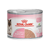 Royal Canin Mother and Babycat Mousse 195g Can x 12 Tray