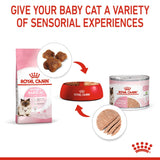 Royal Canin Mother and Babycat Mousse 195g Can x 12 Tray