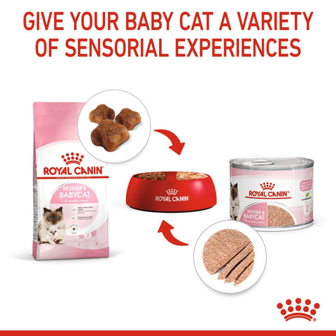 Royal Canin Mother and Babycat Mousse 195g Can x 12 Tray