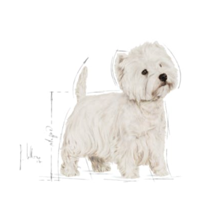 Royal Canin Adult West Highland Terrier 3kg