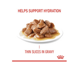 Royal Canin Cat Digestive Care (in Gravy) 85g x 12 Sachets