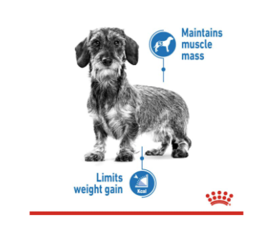 Royal Canin Dog Light Weight Care (Loaf) 85g x 12 Sachets