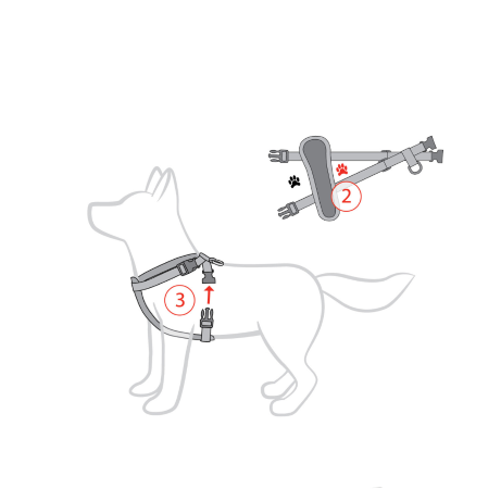 EzyDog Chest Plate Harness - Black