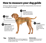 EzyDog Chest Plate Harness - Black