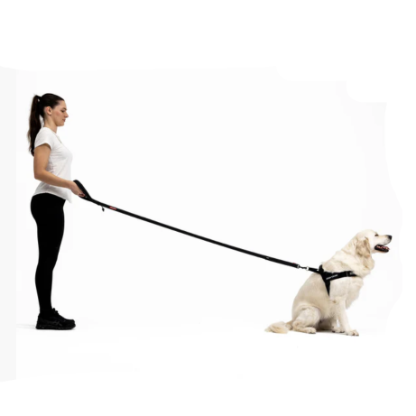EzyDog Soft Trainer Leash Purple 180cm