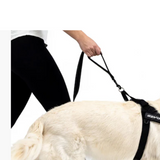 EzyDog Soft Trainer Leash Purple 180cm
