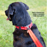 EzyDog Collar Double Up - Black
