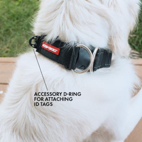 EzyDog Collar Double Up - Black