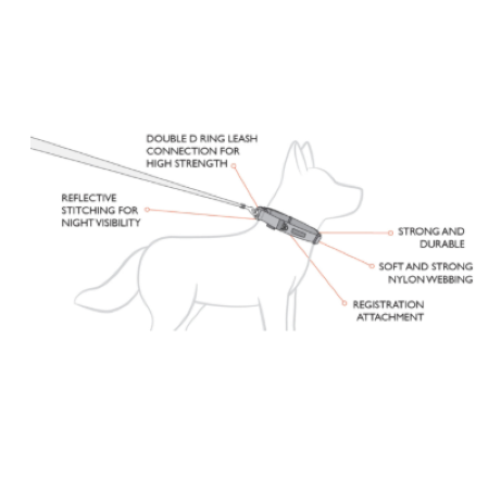 EzyDog Collar Double Up - Black