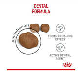 Royal Canin Feline Dental Care